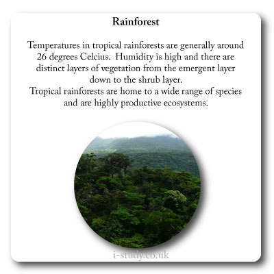 tropical rainforest characteristics
